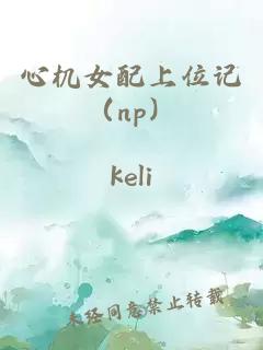 心机女配上位记（np）